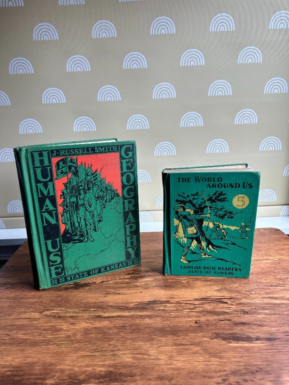 Set of 2 Vintage Green Geography Aesthetic Books for Home Decor Decorative Books
